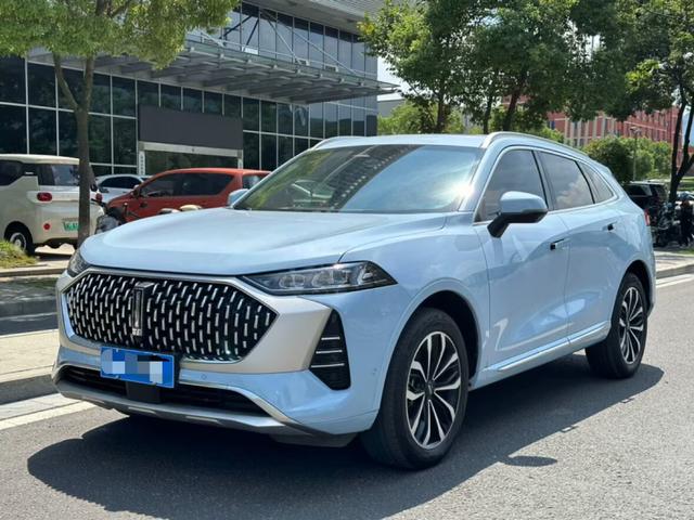 Mocha 2021 2.0T two-wheel drive special alcohol version