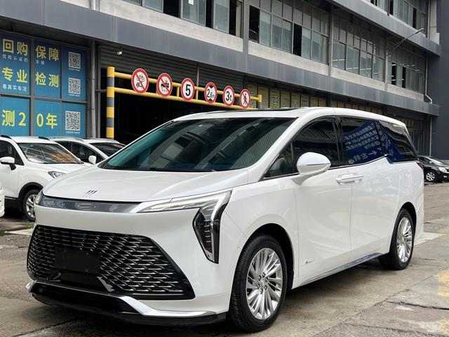 Century 2023 2.0T Six-Seat Embracing World Edition