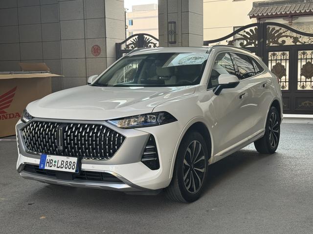 Mocha 2021 2.0T four-wheel drive special alcohol version