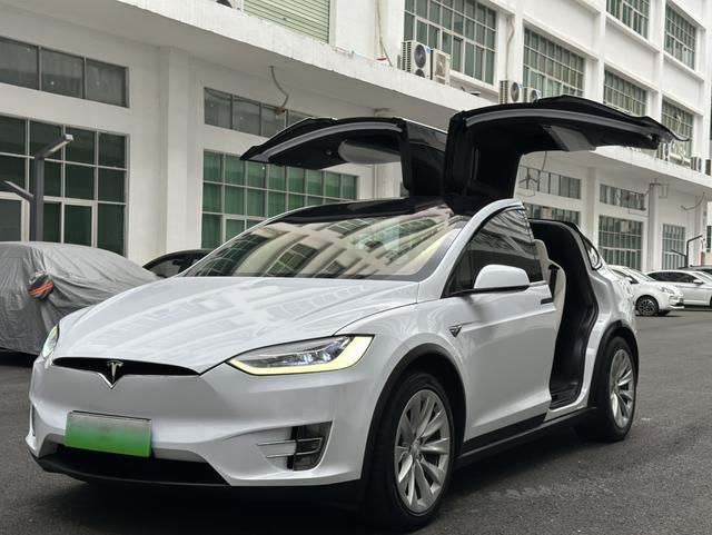 Model X 2017 100D Long Range Edition