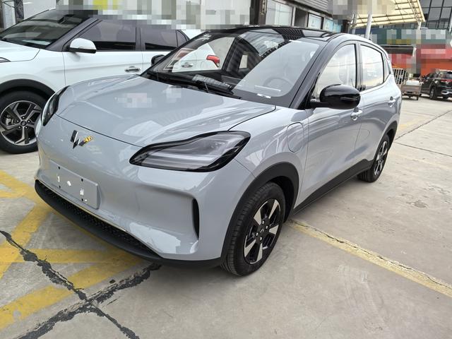 Wuling Bingguo PLUS 2024 330km five-seater version