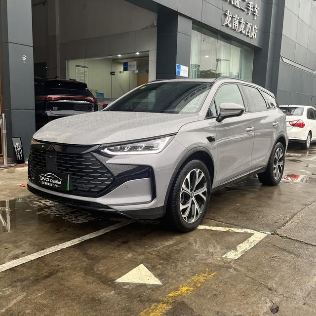 Tang DM 2025 Smart Driving Version DM-i 115KM flagship Model