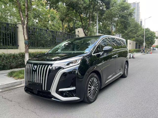 Tengsten D9 EV 2022 600 4WD Flagship