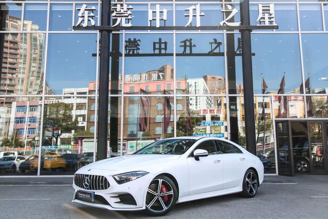 Mercedes-Benz CLS 2020 CLS 300 Luxury
