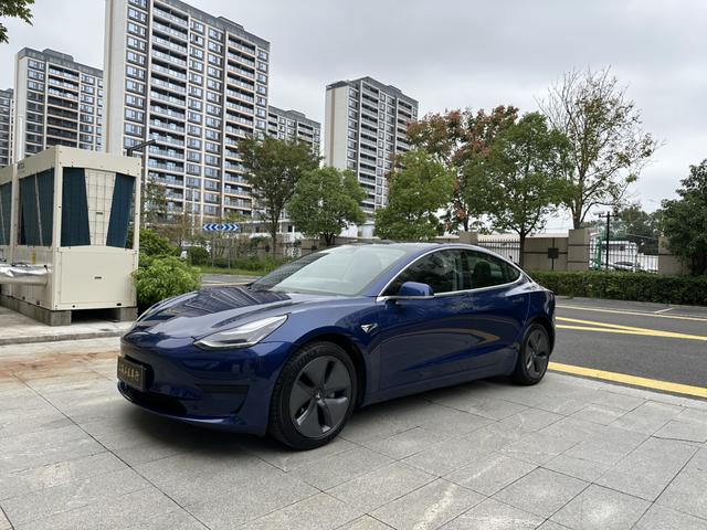 Model 3 (Import) 2019 Standard Range Rear Drive Upgrade