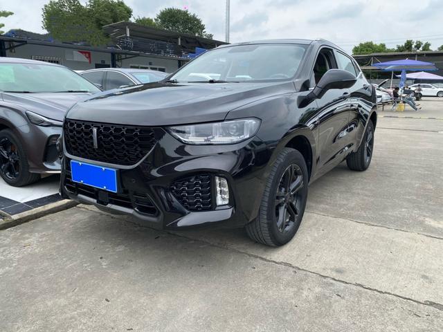 Wei brand VV5 2019 1.5T two-wheel drive tide pioneer
