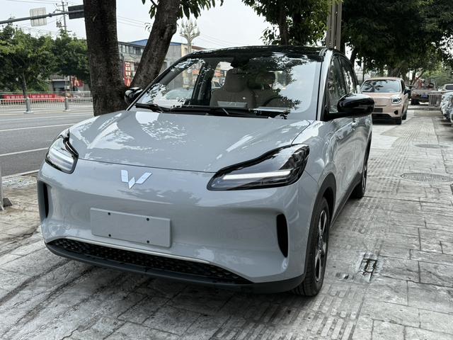 Wuling Bingguo PLUS 2024 330km five-seater version