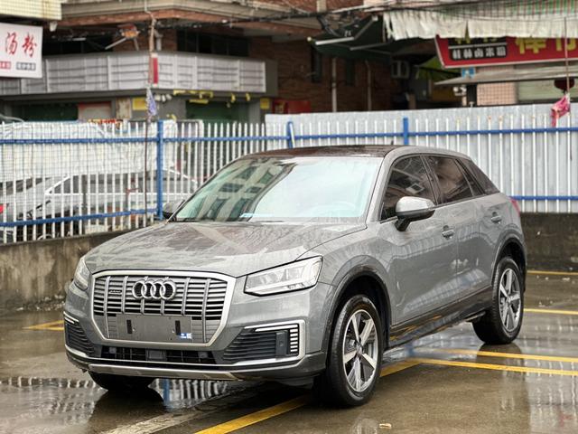Audi Q2L e-tron 2019 Pure Electric Intelligence