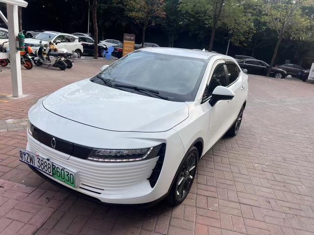 Euler iQ 2019 Smart Zun Type