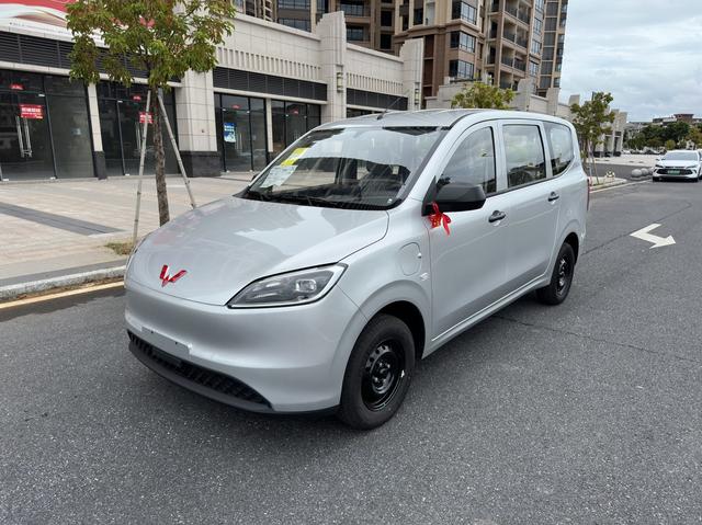 Wuling Hongguang Pure Electric Version 2024 300KM Standard Type