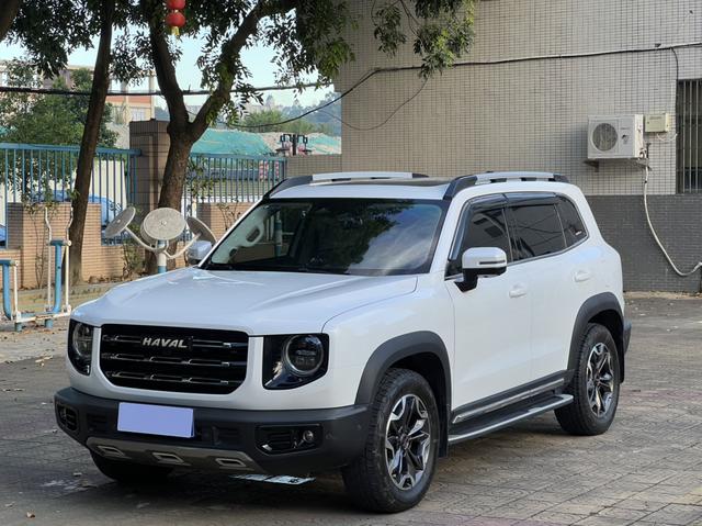 Havoc Big Dog 2021 Modified 2.0T 4WD Roaring Dog Edition
