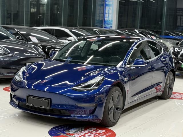 Model 3 (Import) 2019 Long Range Rear Drive Edition