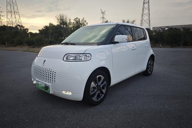 Euler White Cat 2020 Model 305km Luxury Type