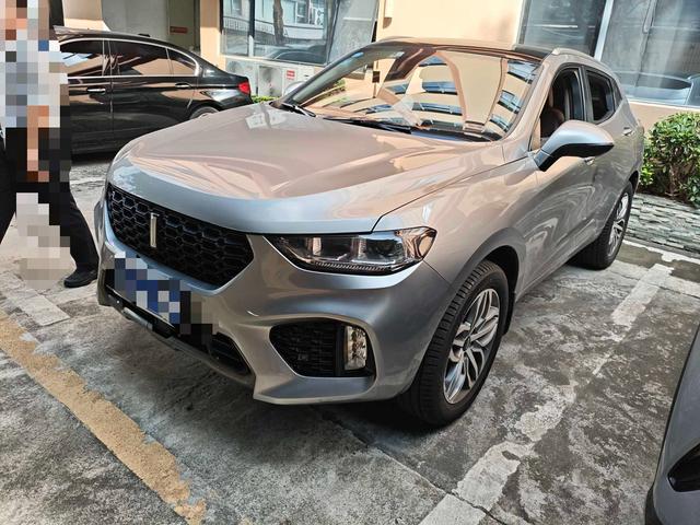 Wei brand VV5 2019 upgraded 2.0T two-wheel drive super luxury national V