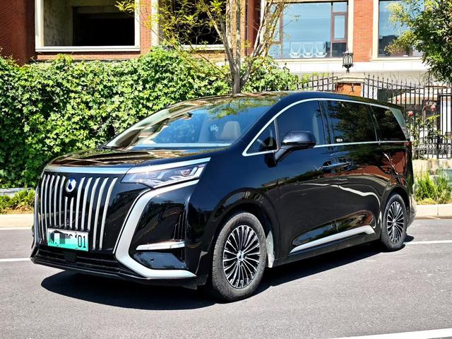 Tengsten D9 EV 2022 600 4WD Flagship