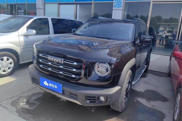 Havoc Big Dog 2021 2.0T 4WD Chinese Garden Dog Edition
