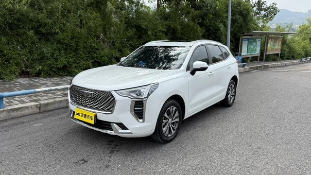 Harvard First Love 2021 1.5T Auto Big Two Edition