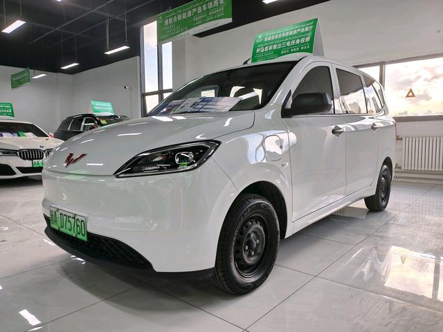 Wuling Hongguang Pure Electric Version 2024 300KM Standard Type