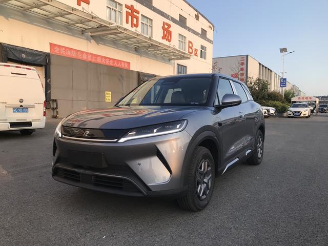 Yuan UP 2025 Smart Driving Version 401KM Vitality Version