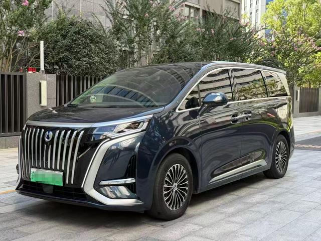 Tengsten D9 EV 2022 600 4WD Flagship