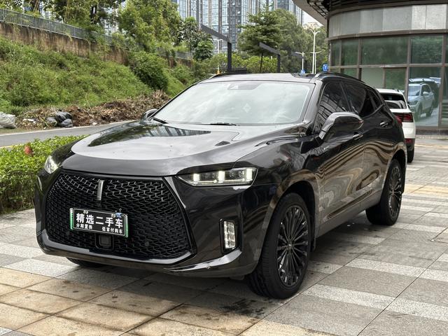 Wei brand P8 2018 2.0T flagship model