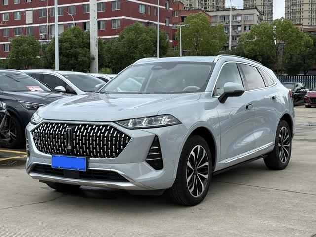 Mocha 2021 2.0T two-wheel drive special alcohol version