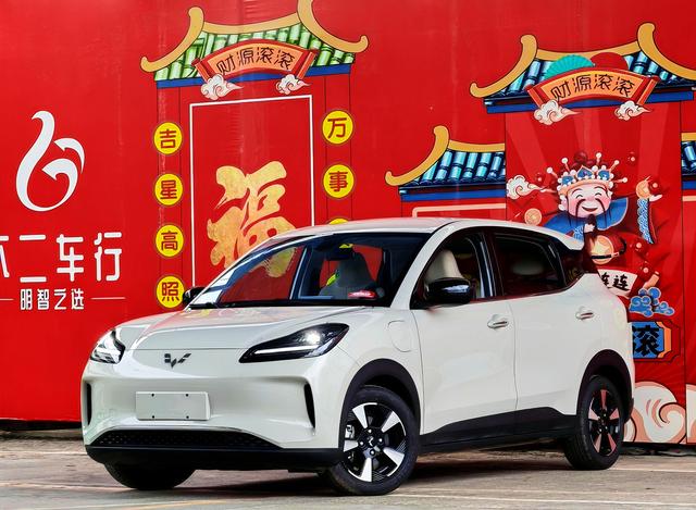 Wuling Bingguo PLUS 2024 330km five-seater version