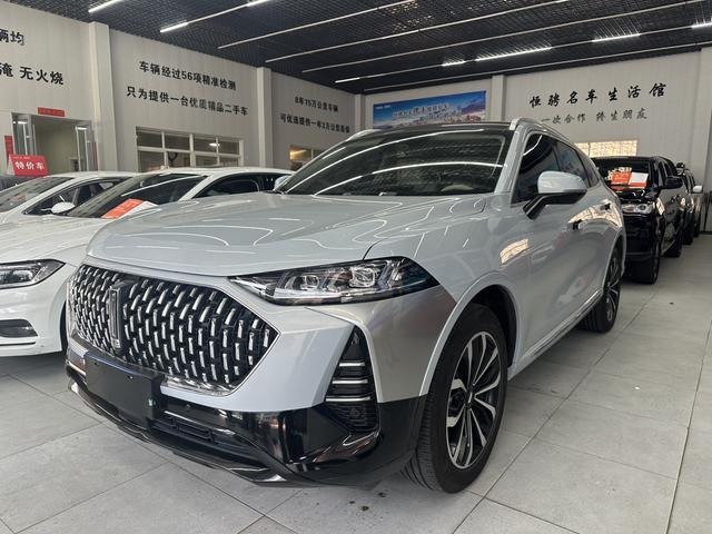 Mocha 2021 2.0T four-wheel drive extra thick version