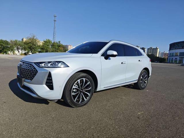 Mocha 2021 2.0T four-wheel drive special alcohol version