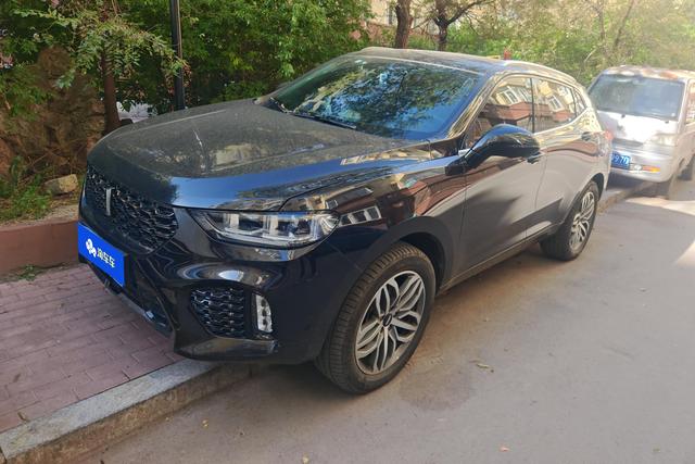 Wei brand VV5 2019 upgraded 2.0T two-wheel drive super luxury national V