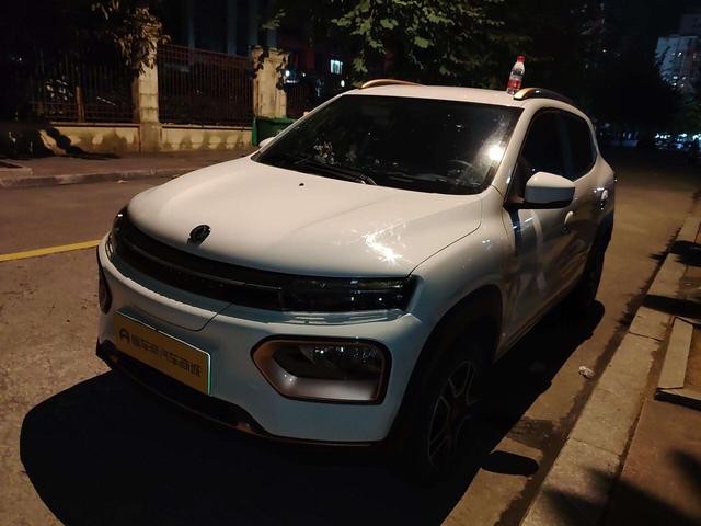 Dongfeng Nano EX1 2022 PRO Tiger Yao Edition Luxury