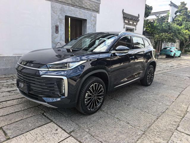 Xingtu Lingyun 2025 300T Two-wheel drive Xingyao Version