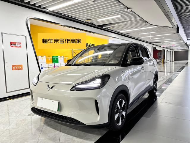 Wuling Bingguo PLUS 2024 330km five-seater version