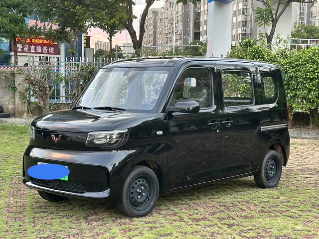 Wuling Zhiguang EV 2025 Standard Type