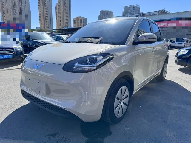 Wuling Colorado 2023 203KM Light Enjoyment Model