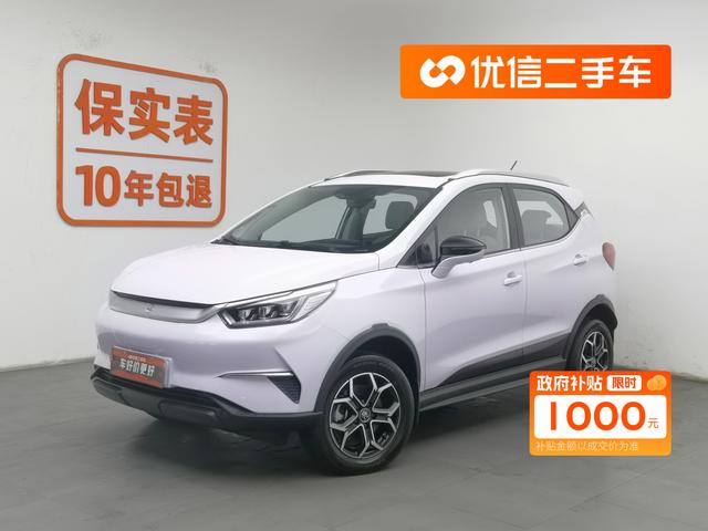 Yuan Pro 2021 401KM Premium