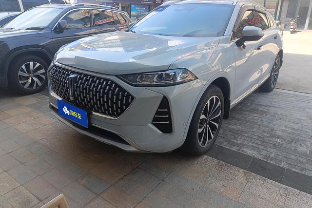 Mocha 2021 2.0T two-wheel drive extra thick version