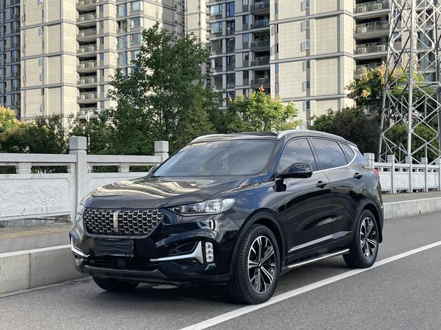 Wei brand VV6 2021 2.0T two-wheel drive smart travel+