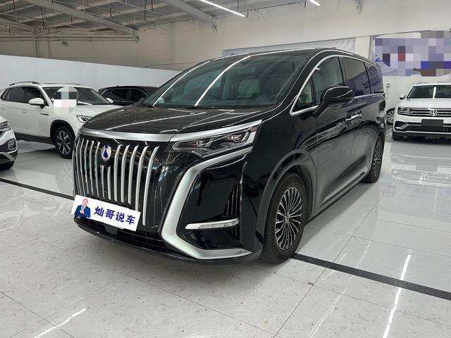 Tengsten D9 EV 2022 600 4WD Flagship