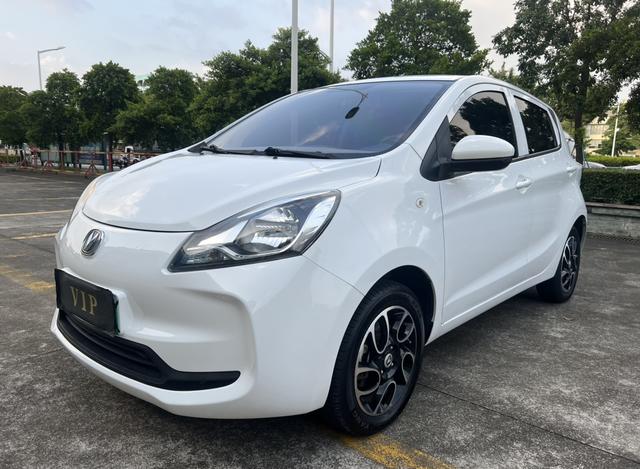Pentium E-Star 2021 National Edition Heartland Edition Lithium iron phosphate (31.18kWh)