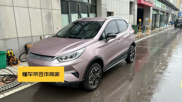 Yuan Pro 2023 model 320KM luxury type