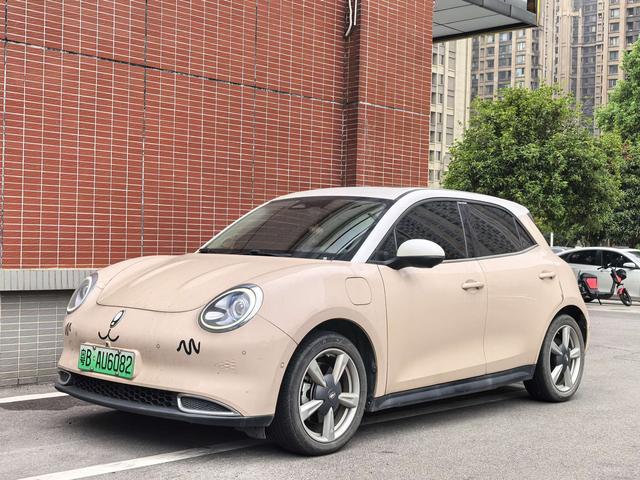 Ola Good Cat 2021 500km Long Range Poseidon Edition Li-ion Ternary Battery