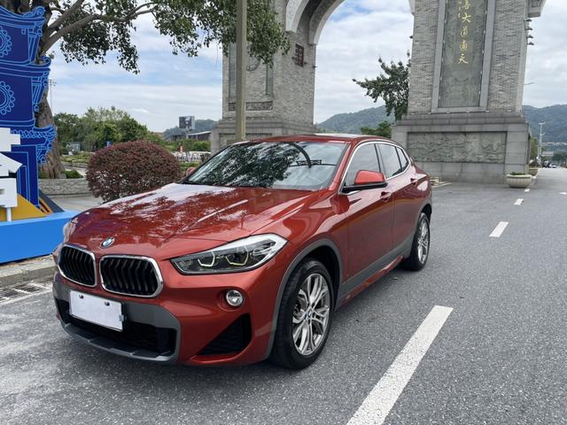 BMW X2 (Import) 2019 sDrive25i Lead M Off-Road Package State VI