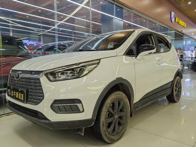 Yuan EV 2019 EV535 Intelligent Link Leader Model