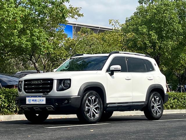 Havoc Big Dog 2021 2.0T 2WD Chinese Hound Edition