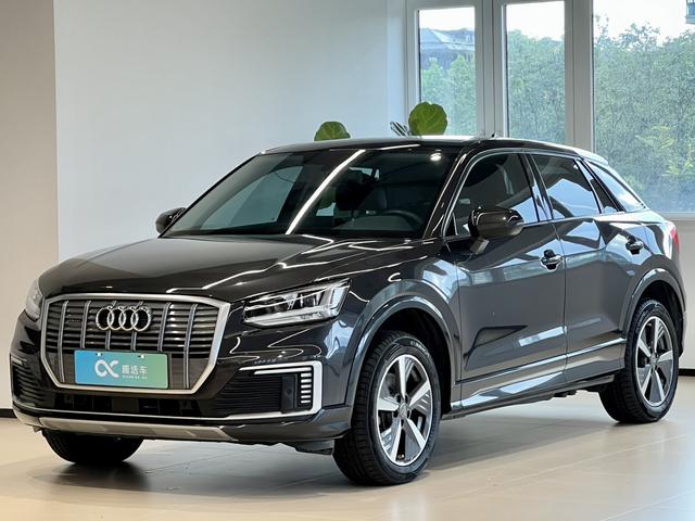 Audi Q2L e-tron 2019 Pure Electric Intelligence