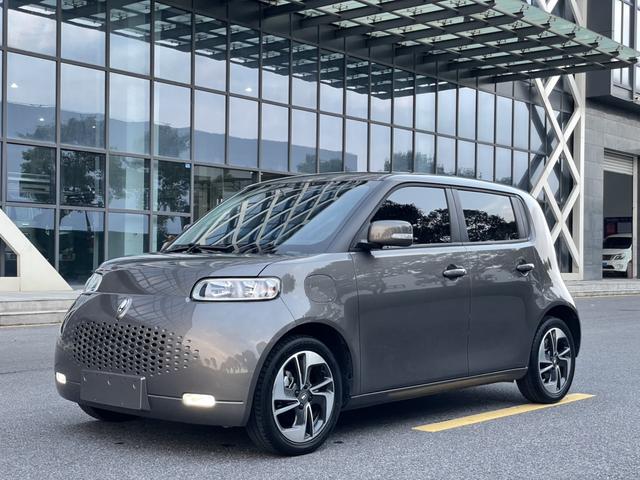 Euler White Cat 2022 upgraded version of 305km luxury ternary lithium