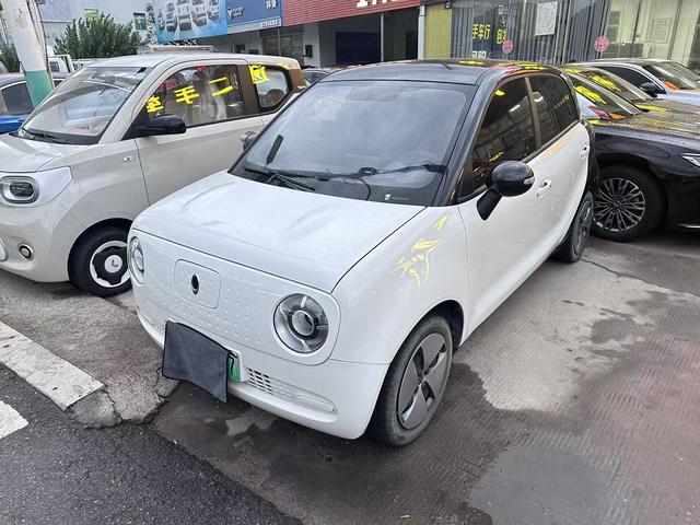 Euler Black Cat 2021 Model 301km Basic Type