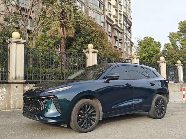 Fengxing T5 EVO 2021 1.5TD DCT Glory Edition
