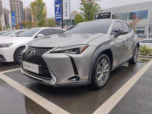 Lexus UX EV 2020 300e Pure-Joy